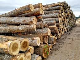 Wooden Logs In A Pile Aff Wooden Logs Pile Ad Wooden Log Wooden Timber