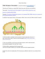 Dna mutation simulation this work is licensed under a creative commons attribution noncommercial sharealike 4 0 international license. Dna Mutation Simulation Worksheet Pdf Name Ariana Santiago Dna Mutation Simulation Use Blue Ink For All Answers U200b Access The Simulation At U200bdna Course Hero