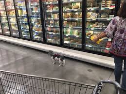I tried using s pay with my cu debit card, but their reader gave an error, and i tried it twice. Winco Foods 10 Photos 48 Reviews Grocery 6904 E Hampton Ave Mesa Az