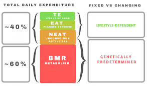 A calorie deficit is the magic that makes weight loss possible. What Is A Calorie Deficit And How Do You Achieve It 9 To 5 Nutrition
