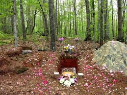 I added a homemade pond and placed a seating bench in the. Are We Burying Our Dead Wrong Exploring Green Burials As A Sustainable Alternative The Courier