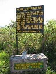 Trail Sign At Park Entrance Trail Signs Park Trails Park