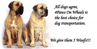 Need trustworthy proven reputation & reliability? Pet Movers Pet Delivery Service Dog Transport Pet Moving And Relocation Pet Ground Transportation Pet Transport Service