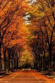 The Perfect World Welcome O Autumn Scenery Cool Places To Visit Scenery