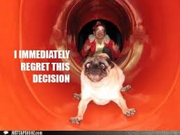 Animal Capshunz Pug Memes Funny Animals Cute Animals