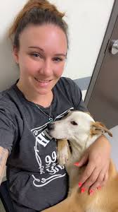 219 Lost and Found Pets Northwest Indiana