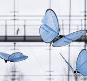 BionicBee | Festo DE