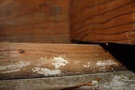 The horizontal board is the sill plate. Replace Basement Sill Plate Diy Home Improvement Forum