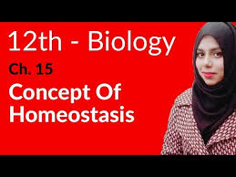 2nd Year Biology Ch 1 Concept Of Homeostasis Fsc Biology Book 2 Youtube