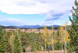 Elk meadow properties llc offers the highest quality homes for sale and homes for rent in a mountain setting. Elk Meadow Park South Loop