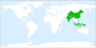 Image result for Droguetia iners