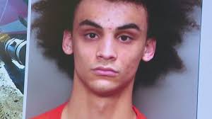 Stop Cop City' protester's arson arrest