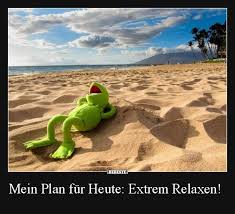 Mein Plan Fur Heute Extrem Relaxen Lustige Bilder Spruche Witze Echt Lustig Spass Spruche Humor Lustig Die Muppets