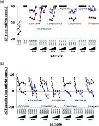 Image result for Lepistemon owariensis
