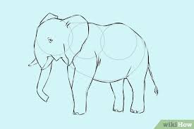 3.pada kepala gajah kita buat sebuah bidang persegi panjang sebagai belalai gajah. 4 Cara Untuk Menggambar Gajah Wikihow