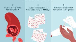 The A1c Test Uses Procedure Results