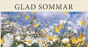 Bildresultat för sommar