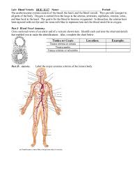 Below you can find blood pressure chart. Doc Blood Vessel Lab Madison Thompson Academia Edu