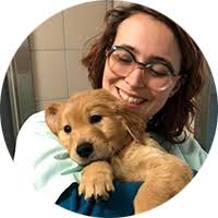 Guide Dogs Podcast Customer Story