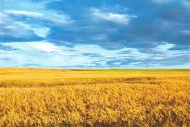 Україна) е държава в източна европа.тя граничи с черно море и азовско море на югоизток, с русия на изток, с беларус на север, с полша, словакия и унгария на запад, с румъния и молдова на юг и югозапад. Ukrayina Potrapila V Top Rejtingu Najneshasnishih Ekonomik Svitu Agropolit