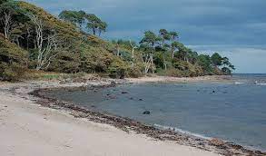 Beach And Trees At Tyninghame C Jim Barton Beaches Near Me Beach Beautiful Beaches