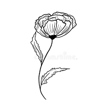 As long as the paper flower has a hole in. Curved Drawing Flower Stem Stock Illustrations 56 Curved Drawing Flower Stem Stock Illustrations Vectors Clipart Dreamstime