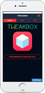 Brief explanation to get cydia download ios 14.0.1. Tweakbox App Ios 14 Download 2021 Ipapol