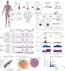 Some time ago i asked about what are short reads in chip seq and how come there are so many? Myong Hee Mia Sung Ø¹Ù„Ù‰ ØªÙˆÙŠØªØ± Amazing Histone Modification Chip Seq Of Cell Free Chromatin In Blood Plasma Analogous To Jshendure Cfdna Profiling Of Nucleosome Occupancy And Interference Of The Cell Of Origin Https T Co Pwgl2gqzs3