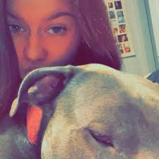 Remove if not allowed. My neighbor was trying to dump this beautiful little  boy my landlord will not allow me to keep him. Looks to be a pitbull  terrier mix.