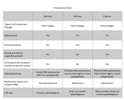 Pores in the nuclear membrane allow for the passage of molecules in and out of the nucleus. This Week You Will Start The Tree With The Three Chegg Com