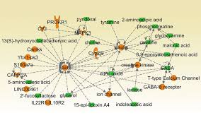 Using Machine Learning Models To Better Predict Bladder