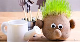 Des activités manuelles destinés aux enfants et ados. 5 Idees D Activites Sur Le Theme Nature Et Environnement Le Blog D Initiatives Fleurs Nature