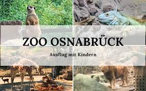 Seelöwenfütterung vom 24.04.10 16 uhr im zoo osnabrück Zoo Osnabruck Ausflug Mit Kindern Mama Mony De