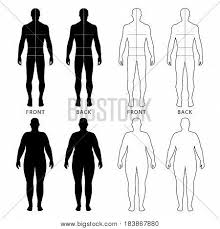 How to draw a person: Full Length Front Vector Photo Free Trial Bigstock