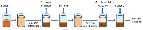 Image result for Fractionation