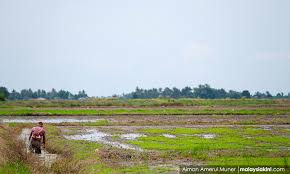 Meski telah memiliki uu yang mengatur larangan alih fungsi lahan pertanian sejak beberapa tahun lalu, saat ini kurang dari separuh kabupaten/kota menindaklanjutinya. Malaysiakini Menyahut Cabaran Pertanian Pintar