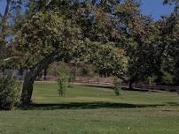 Reiki Circle in the Park