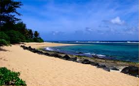 There won't necessarily be one temple in each desert — there can be more than one or none at all. Let S Play A Game Of Deserted Island Inside Nanabread S Head