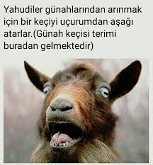 Bilmedigimiz En Ilnginc Gercek Bilgiler Guzel Sozler Job Humor When You Realize Goats