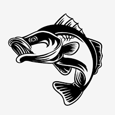 Fishing Lover Detail Bass Fish Vector Illustration Bass Fish Fishing Png And Vector With Transparent Background For Free Download Fish Vector Silhouette Vector Vector Illustration