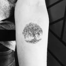 Do You Recognize A Willow Tree When You See It Thanks Hannah Hannahxmaguire For Your Visit Singlen Tree Tattoo Small Tree Tattoo Designs Willow Tree Tattoos