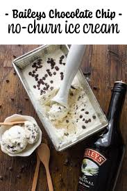 Baileys Chocolate Chip No Churn Ice Cream No Churn Ice Cream Easy Homemade Cookies Frozen Dessert Recipe