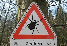 Aus diesem grund nahm man an. Zecken Garten Zeckenfrei Machen Pravention Richtiges Entfernen Nach Einem Zeckenbiss Schweiz Tipps