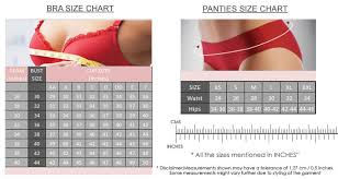 Ageless Womens Briefs Size Chart Tomboyx Boxer Briefs For Women