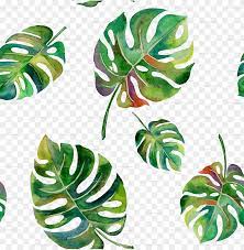 Plus, you can save your designs and even review and restore them if needed. Tropical Leaf Watercolor Png Jpg Watercolor Palm Png Image With Transparent Background Toppng