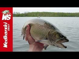 Tym razem zajmiemy się palią jeziorową (lake trout) nad jeziorem biały łoś w albercie. Pstrag Potokowy I Palia Zlowione Na Muche W Jeziorze Piaseczno Na Kaszubach Youtube