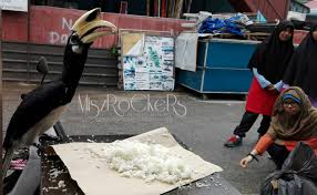 Lokasi danau ranu agung berjarak sekitar 40 km dari pusat kota probolinggo. Aktiviti Best Dan Tempat Menarik Di Pulau Pangkor Yang Wajib Dikunjungi Ceritera Si Gadis Biru