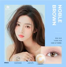 Kính áp tròng màu nâu vàng cá tính NOBLE BROWN.