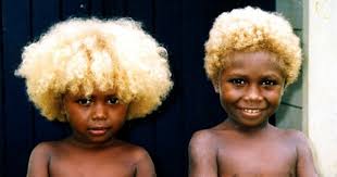 So, what's your hair motivation? Black People With Natural Blonde Hair Melanesian Population Afroculture Net