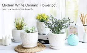 Pot saucers └ plant care, soil & accessories └ garden & patio all categories antiques art baby books, comics & magazines business, office & industrial cameras & photography cars, motorcycles & vehicles clothes, shoes. Flower Pots And Transplanter Brajttt 5 5 Inch Cylinder Ceramic Plant Pots With Connected Saucer Planters For Succuelnt And Little Snake Plants 4 Pack White
